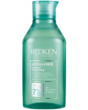 Redken Šampon za kosu Amino Mint, 300 ml -1