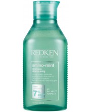 Redken Šampon za kosu Amino Mint, 300 ml