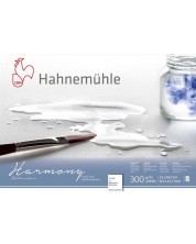 Blok za crtanje Hahnemuhle Harmony - A4, grubi papir, 12 listova