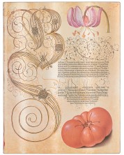 Bilježnica Paperblanks Lily & Tomato - 18 х 23 cm, 88 listova