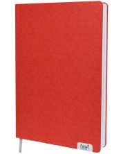 Bilježnica Colori - A4, 100 listova, široki redovi, tvrdi uvez, asortiman