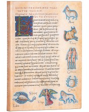 Bilježnica Paperblanks - Astronomica, 13 х 18 cm, 88 listova