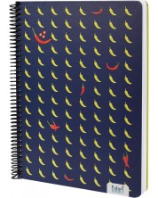 Bilježnica sa spiralom Colori - A4, 100 listova, široke linije, tvrdi uvez, asortiman