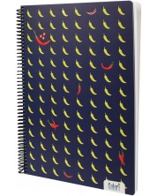 Bilježnica sa spiralom Colori - A4, 100 listova, široki redovi, asortiman -1