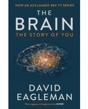 The Brain: The Story of You