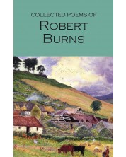 The Collected Poems of Robert Burns: Wordsworth Poetry Library