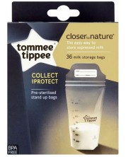 Set vrećica za majčino mlijeko Tommee Tippee - Closer to Nature, 350 ml, 36 komada -1