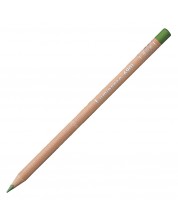 Olovka u boji Caran d'Ache Luminance 6901 - Moss green (225)