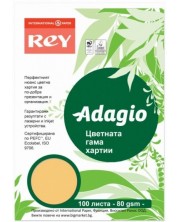 Kopirni papir u boji Rey Adagio - Beige, A4, 80 g, 100 listova -1