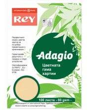 Kopirni papir u boji Rey Adagio - Salmon, A4, 80 g, 100 listova -1