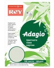 Karton u boji za kopiranje Rey Adagio - Green, A4, 160 g, 100 listova -1