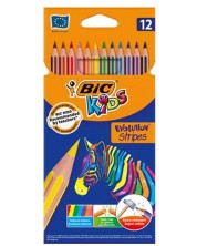Olovke u boji BIC Evolution Stripes - 12 boja -1
