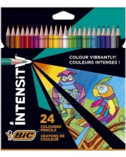 Olovke u boji BIC - Intensity, 24 boje -1