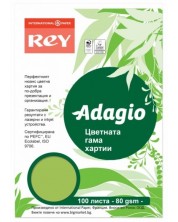 Kopirni papir u boji Rey Adagio - Spring Green, A4, 80 g, 100 listova -1