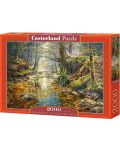 Puzzle Castorland od 2000 dijelova - Sa sjećanjem na jesensku šumu, Graham Twyford - 1t