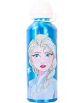 Aluminijska boca Disney - Frozen, 500 ml - 2t