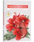 Mirisne svijeće Bispol Aura - Hibiscus-White Sage, 6 komada - 1t