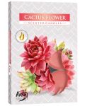 Mirisne čajne svijeće Bispol Aura - Cactus Flower, 6 komada - 1t