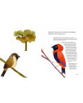 Atlas of Amazing Birds - 8t