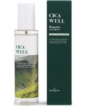 BeauuGreen Cica Well Booster za lice, 150 ml - 1t