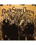 Black Stone Cherry - Black Stone Cherry (CD) - 1t