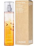 Caudalie Aromatična voda Soleil des Vignes, 50 ml - 2t