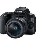 DSLR fotoaparat Canon - EOS 250D, EF-S 18-55mm, crni - 2t