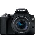 DSLR fotoaparat Canon - EOS 250D, EF-S 18-55mm ST, crni - 1t