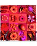 Puzzle Educa od 3 x 500 dijelova - Egzotično cvijeće i voće - 4t