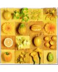 Puzzle Educa od 3 x 500 dijelova - Egzotično cvijeće i voće - 2t