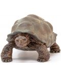 Figurica Schleich Wild Life - Divovska kornjača - 2t