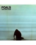 Foals - What Went Down (Vinyl) - 1t