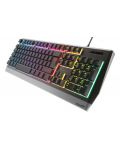 Gaming tipkovnica Genesis - Rhod 300, RGB, crna - 3t