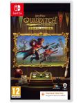 Harry Potter: Quidditch Champions - Deluxe Edition - Kod u kutiji (Nintendo Switch) - 1t