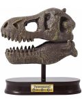 Komplet za istraživanje Buki Museum - Skull, T-Rex - 4t