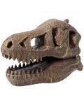 Komplet za istraživanje Buki Museum - Skull, T-Rex - 3t