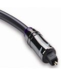 Kabel QED - Performance Optical Graphite, 2x Toslink, 1.5 m, crni - 3t