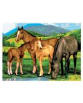 Set za slikanje akrilnim bojama Royal - Konji i ždrebad, 39 х 30 cm - 1t