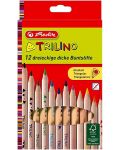 Set trokutastih olovaka u boji Herlitz - Natur, 12 komada - 1t