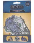 Set zakrpa Cinereplicas Movies: Harry Potter - Deathly Hallows - 7t