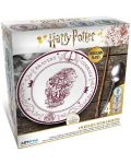 Set tanjura ABYstyle Movies: Harry Potter - Hogwarts Houses, 4 kom. - 6t