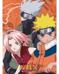 Set mini postera GB eye Animation: Naruto - Konoha Ninjas & Deserters - 3t