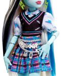 Lutka Monster High - Franky, s ljubimcem i dodacima - 4t