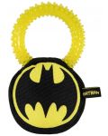 Grickalica za pse Cerda DC Comics: Batman - Batman - 1t