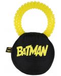 Grickalica za pse Cerda DC Comics: Batman - Batman - 2t