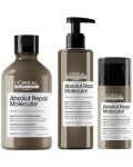 L'Oréal Professionnel Absolut Repair Molecular Set - šampon, maska ​​i serum, 300 + 100 + 250 ml - 1t