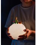 Lampa Erik Animation: The Little Prince - The Little Prince - 4t