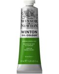 Uljana boja Winsor & Newton Winton - Zeleni krom, 37 ml - 1t