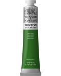 Uljana boja Winsor & Newton Winton - Zelena zemlja, 200 ml - 1t