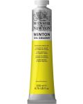 Uljana boja Winsor & Newton Winton - Kadmij limun, 200 ml - 1t